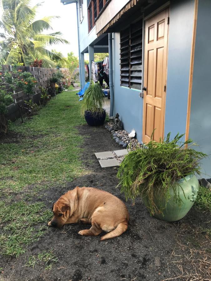 Pointe Venus Lodge Mahina Bagian luar foto