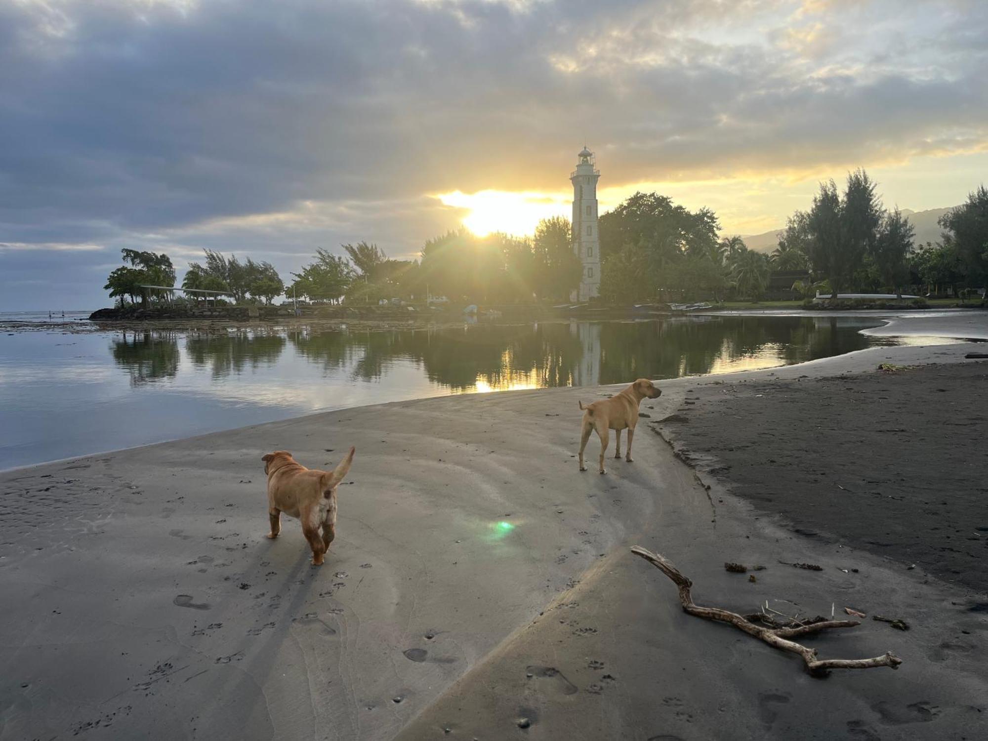 Pointe Venus Lodge Mahina Bagian luar foto